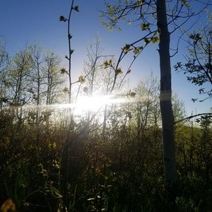 Meet your Posher, Becky